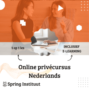 Online Privécursus Nederlands - 1 op 1 les - Inclusief e-learning