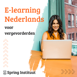 Cursus Nederlands voor vergevorderden (B2-niveau) - E-learning - Thuisstudie