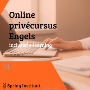 Online Privécursus Engels - 1 op 1 les - Inclusief e-learning