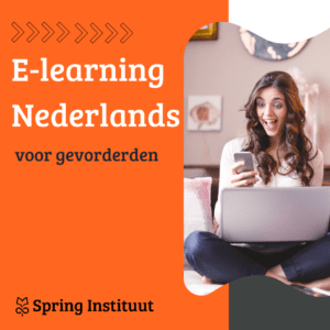 Cursus Nederlands voor gevorderden (B1→B2) - E-learning - Thuisstudie